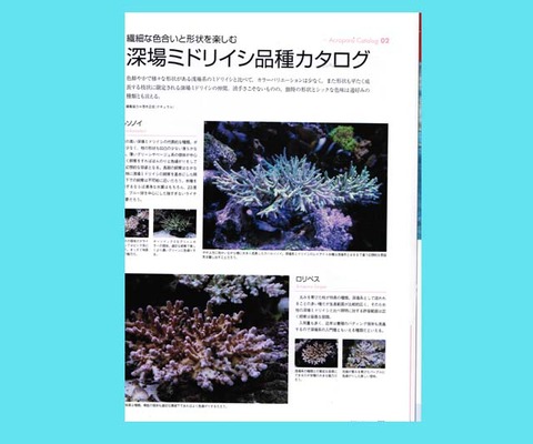 CCF20130129_002000