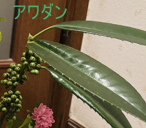 アワダン