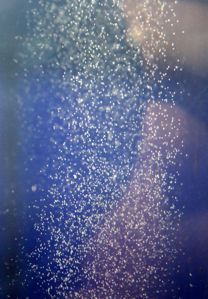 水中に直接酸素を送りこむのだ しかも 電源や 電池もいらないヨ くまぱぱのブログ