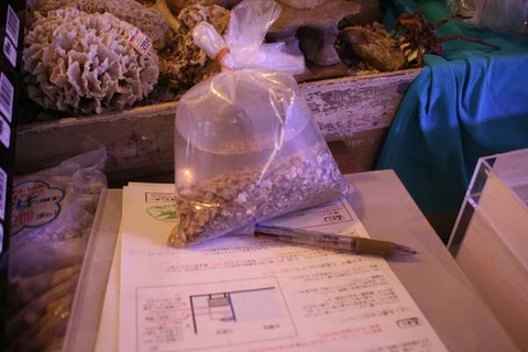 IMG_6050-1