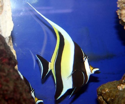 LL_IMG_0323----