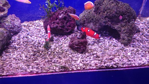 DSC_0002_BURST20191205164321891