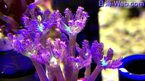 PIC_0106