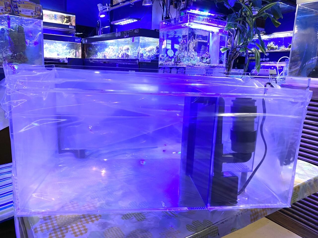 【日海センター】アクリル水槽 かんたん槽NK かんたん槽 シリーズ | オリジナル商品 | 海水魚のパイオニア 日
