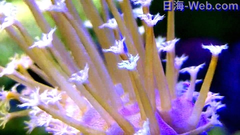 12-067