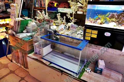 DSC00489