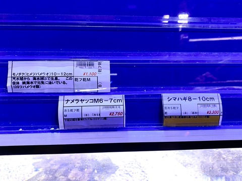 S__141271044_0