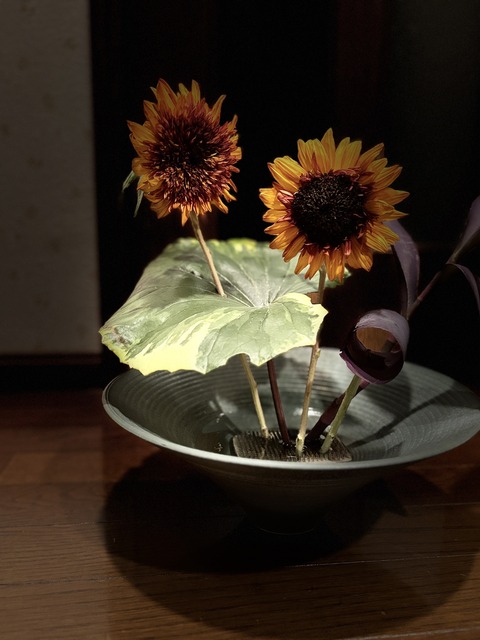 S__136019988