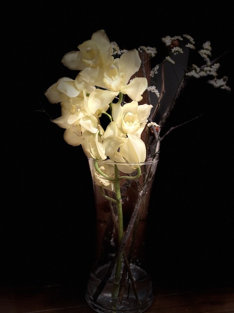S__140550149