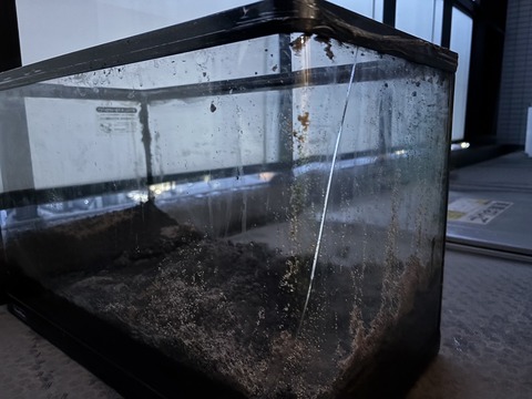 line_oa_chat_250106_173005