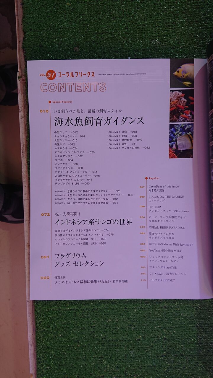 コーラルフリークス31新刊のご紹介 書籍のご紹介 海水魚の