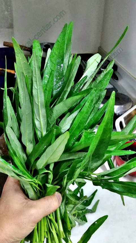 HORIZON_0002_BURST20220816184309430