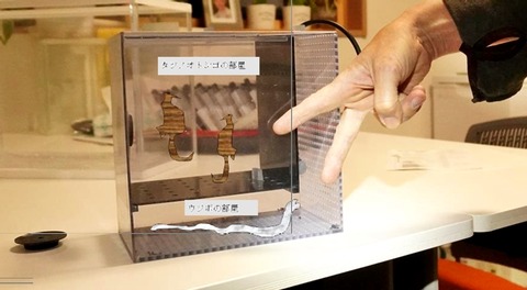 capture-20241218-191236