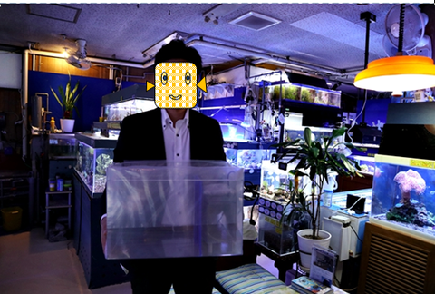 0c40b41e-s