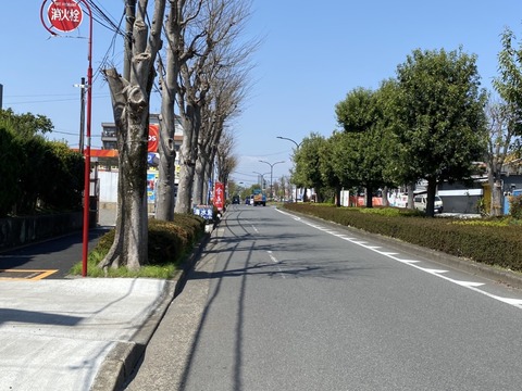 S__84779015