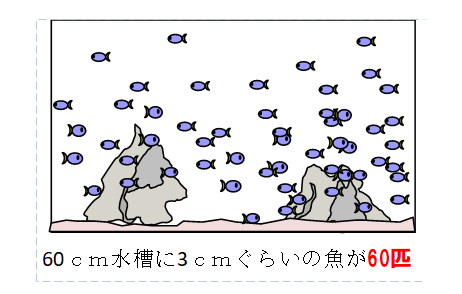 capture-20241016-134453