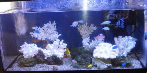 キャプチャ50