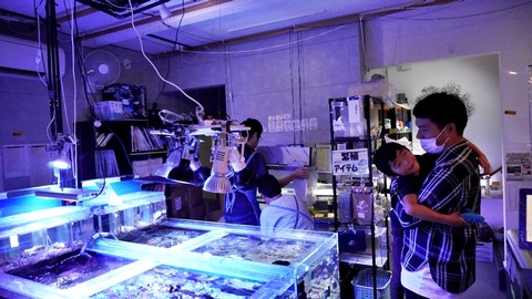 DSC03327