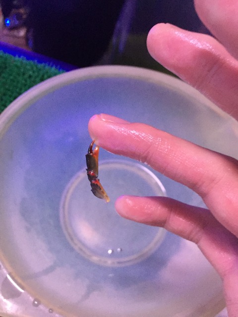 31CD6140-EAA2-4FA1-8925-BC8D7CC14B30