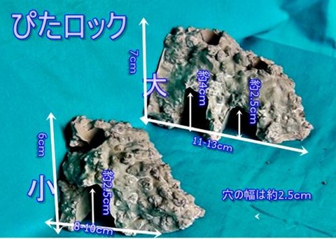 05071532_6457461018095