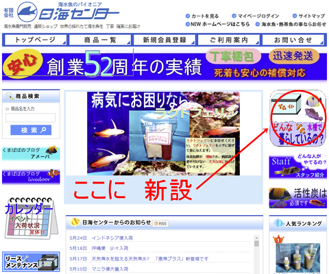 capture-20240525-083206