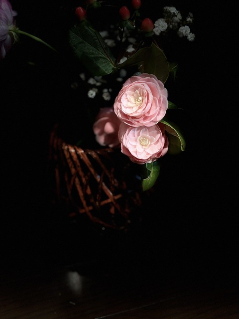 S__133922820
