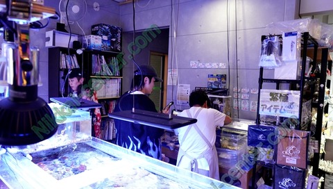 DSC01740