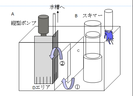 capture-20240908-110504