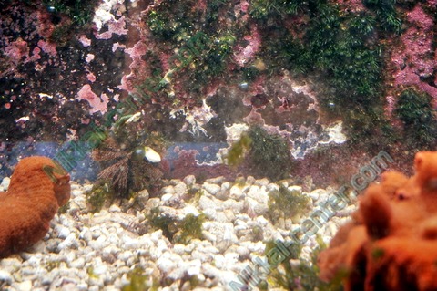 DSC00449