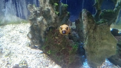 [画像:8e168f10-s.jpg]