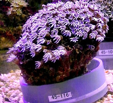 01140013_5696699b830db