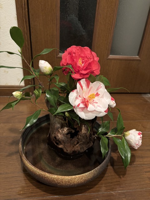 S__141688840