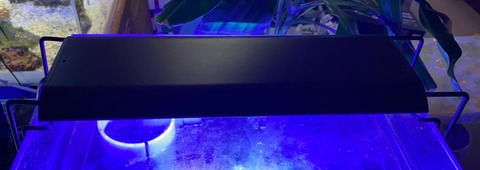 S__24117254