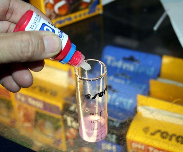 リキッドカルシウムリアクター の入れ過ぎに ご注意 くまぱぱのブログ