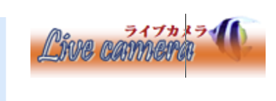 capture-20230522-211413