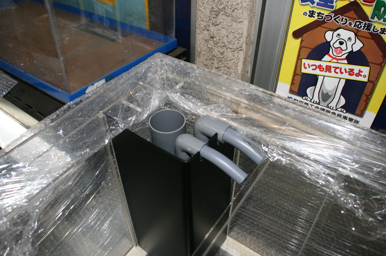 600×450×450 のオーバーフロー水槽が仕上がった。 : くま