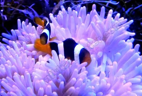 06250935_60d524b76e03c