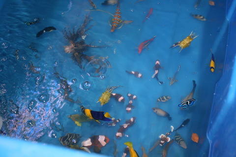 IMG_0748