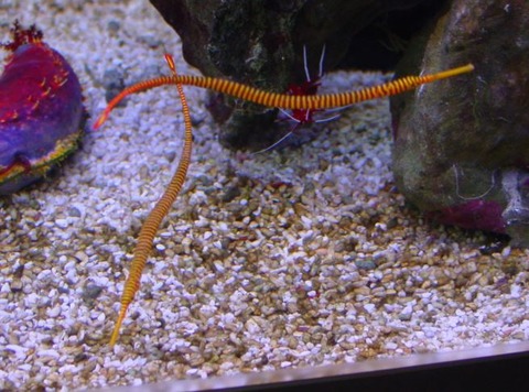 キャプチャ14