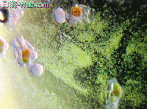 07092324_59623ca718559