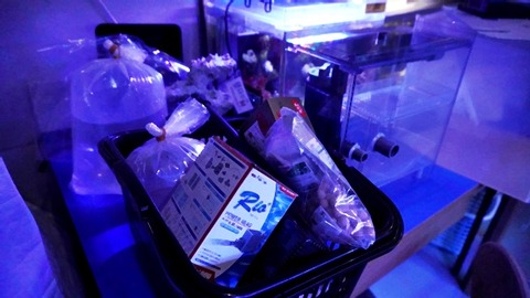 DSC03683