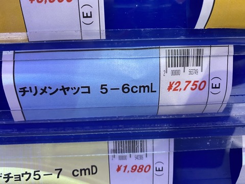 S__127262724_0