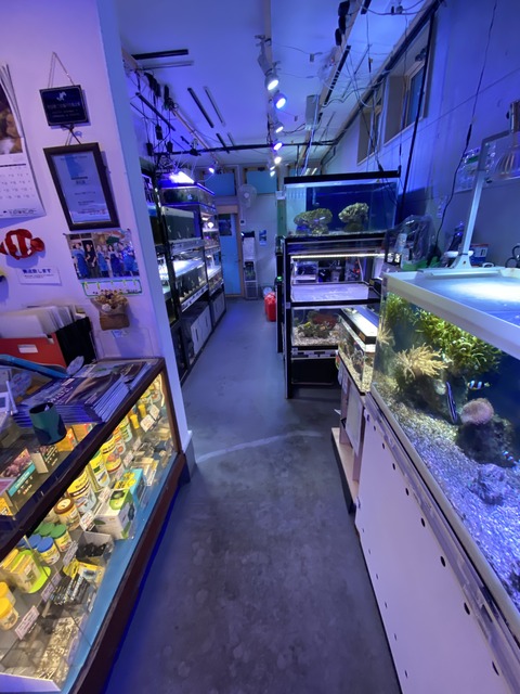 5DCC613E-A506-4203-9F3D-52B9A876AAC0