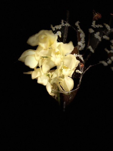 S__140550148