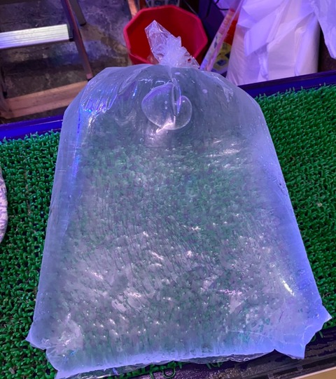 S__12705798