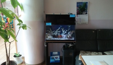 キャプチャr12
