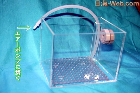 ついに 発売開始 アクリルケース観察館 | 商品の紹介 | 海水魚の