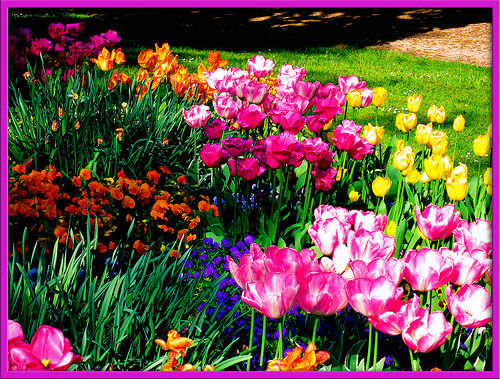 海草の凄さを探求していこう くまぱぱのブログ