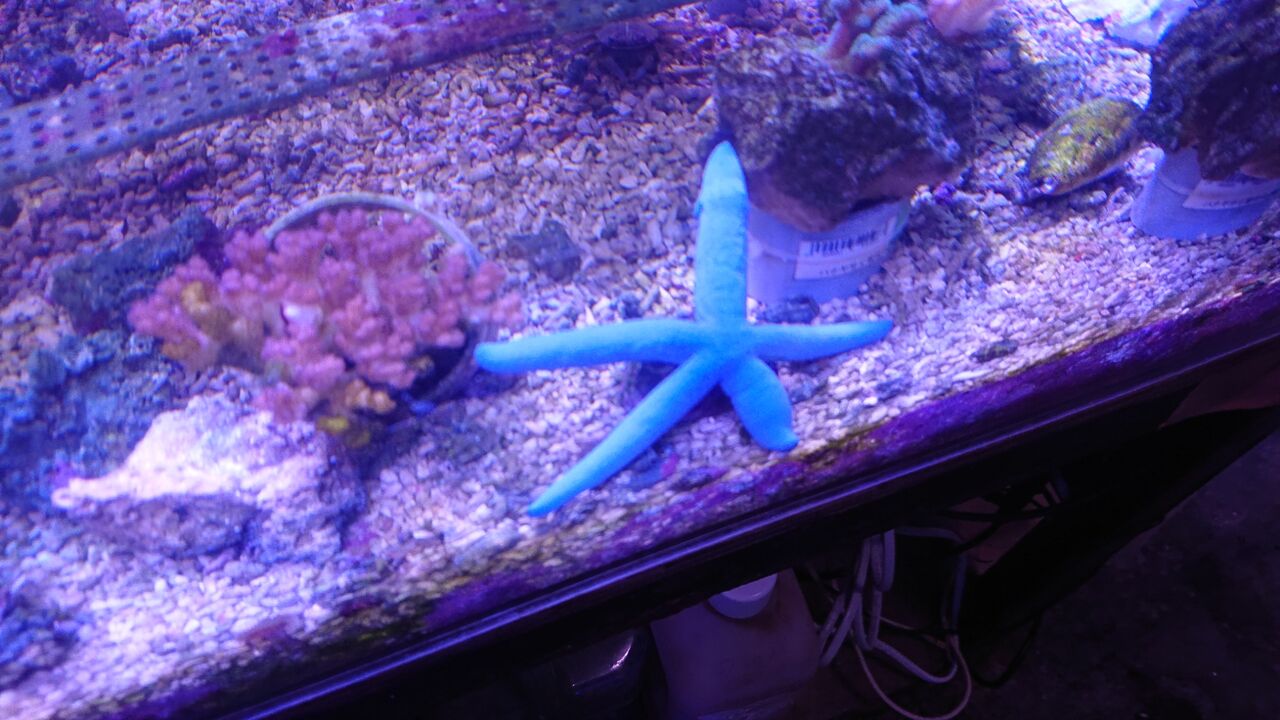 ちょいと面白い生き物達だよ くまぱぱのブログ ちょいと面白い生き物達だよ くまぱぱのブログ