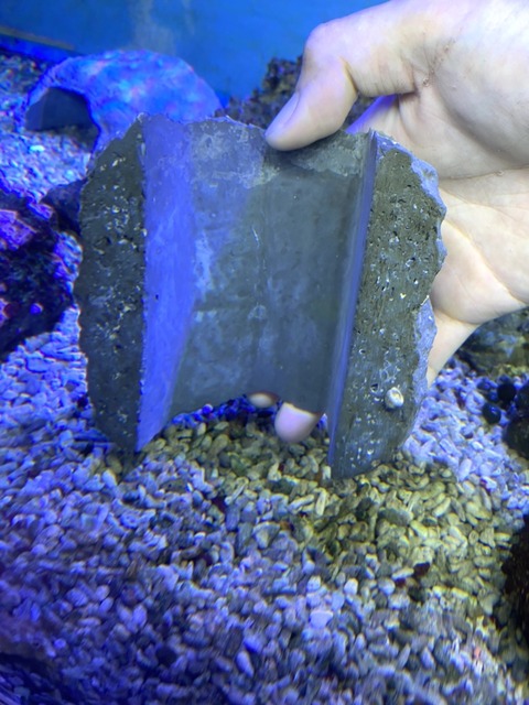S__43294724